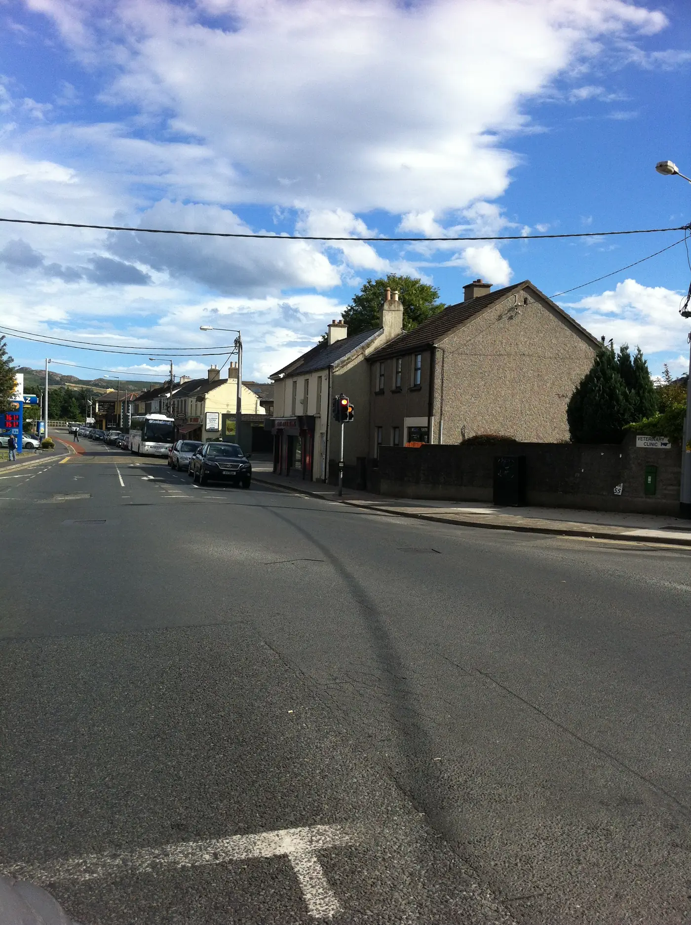 Houses along the Dublin Road in Bray
