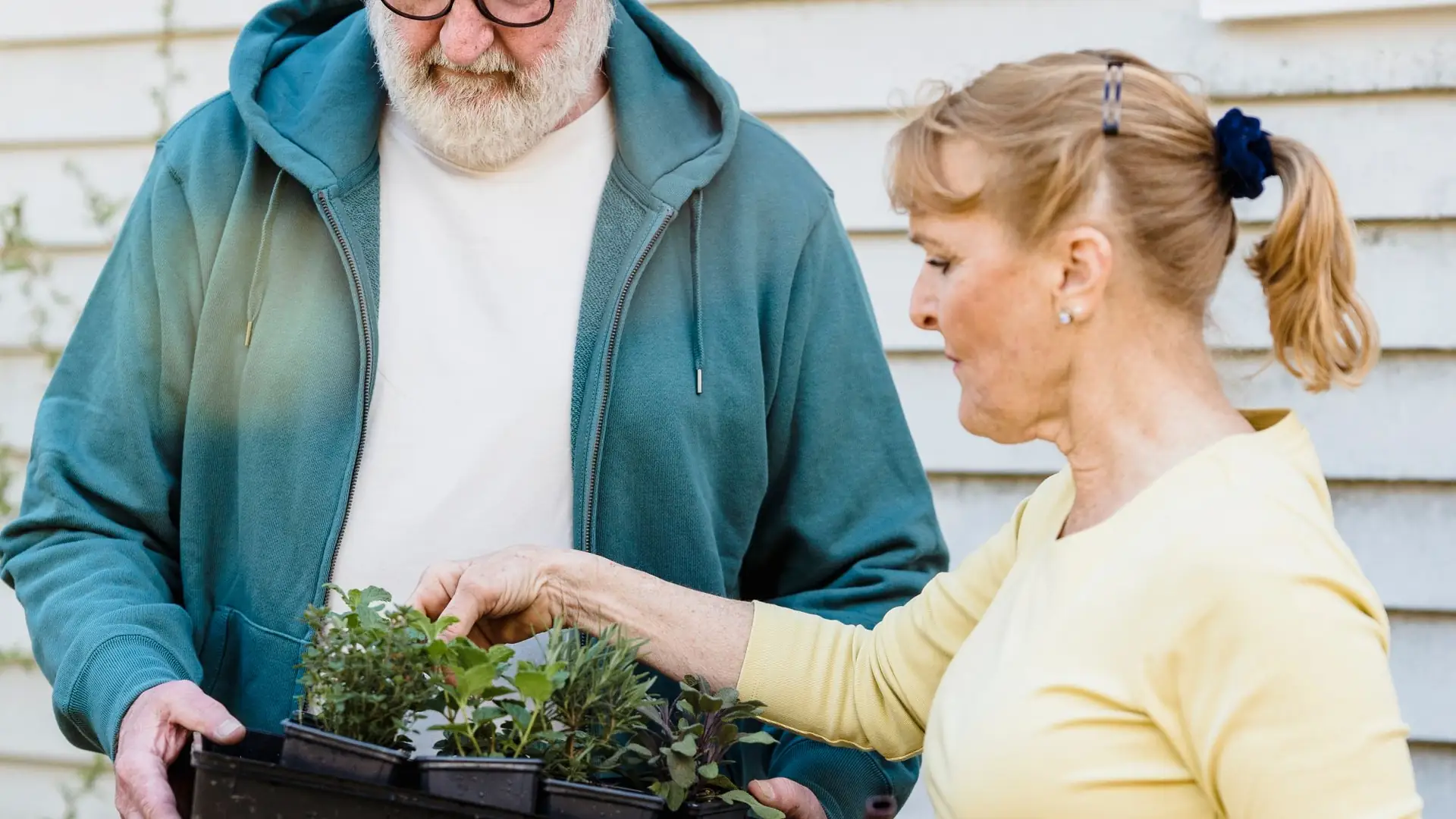 Older man and young woman planting together in a garden